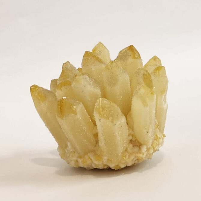 Citrine Family Cluster (320 gms)