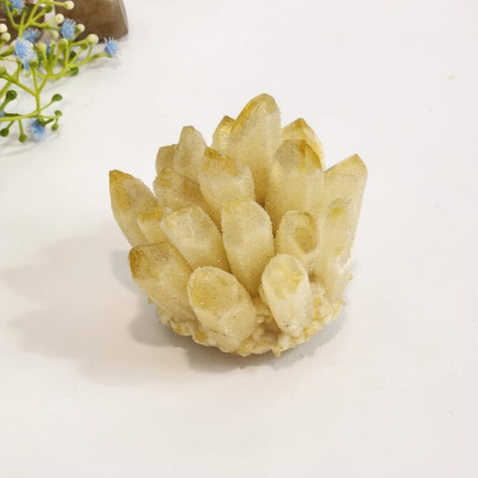 Citrine Family Cluster (320 gms)