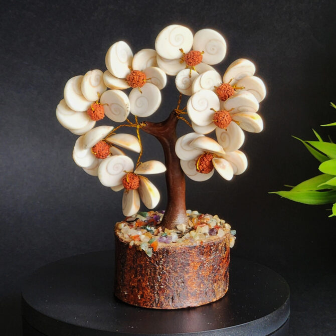 Gomati Chakra Tree with Rudhraksh