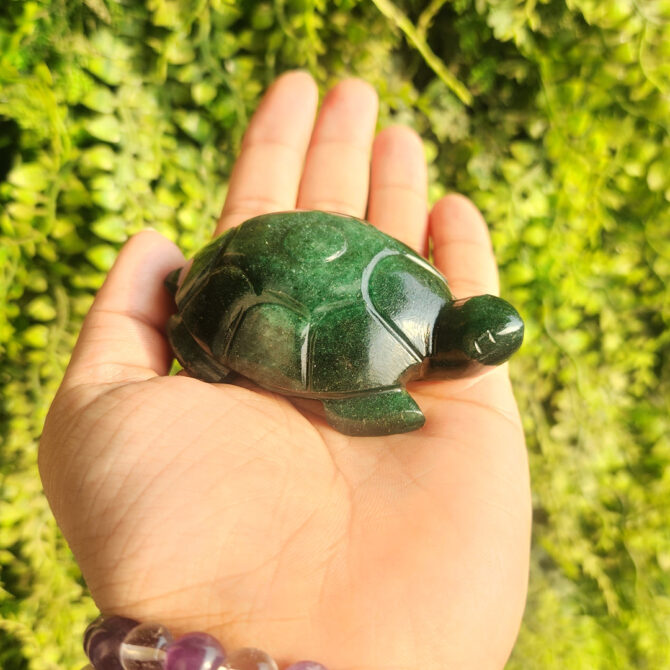 Green Jade Turtle / Tortoise