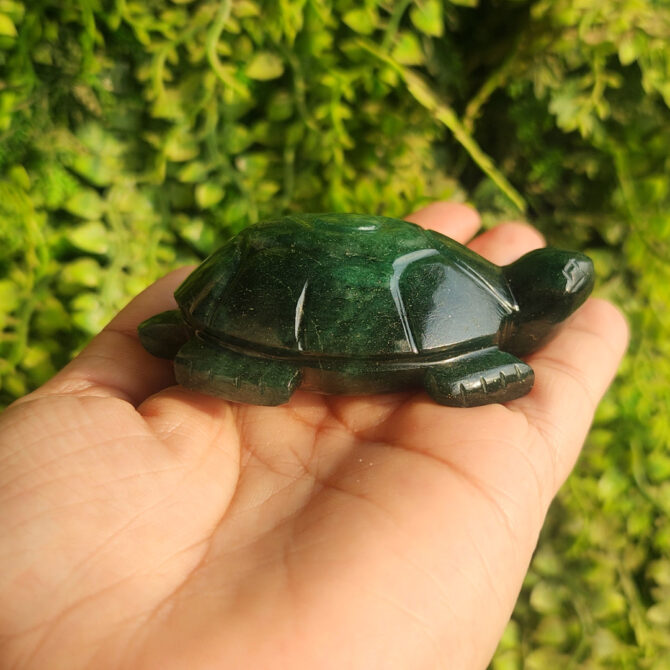 Green Jade Turtle / Tortoise