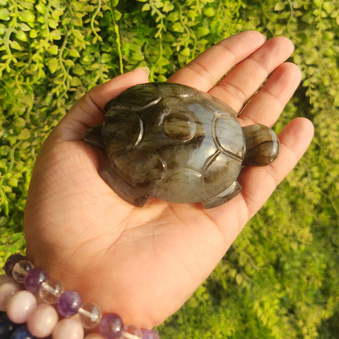 Labradorite Turtle / Tortoise