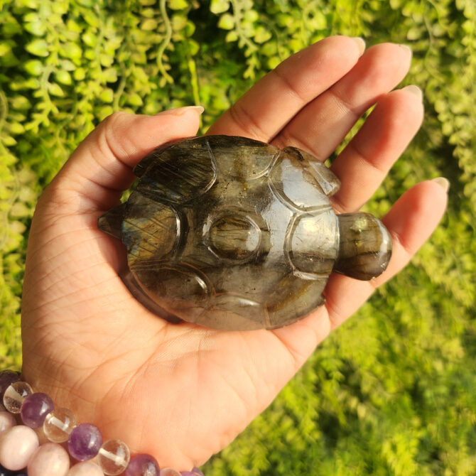 Labradorite Turtle / Tortoise