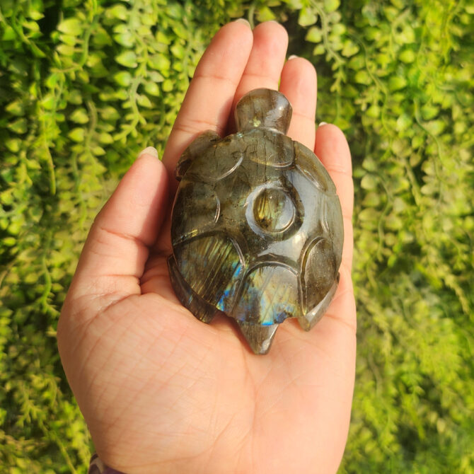 Labradorite Turtle / Tortoise