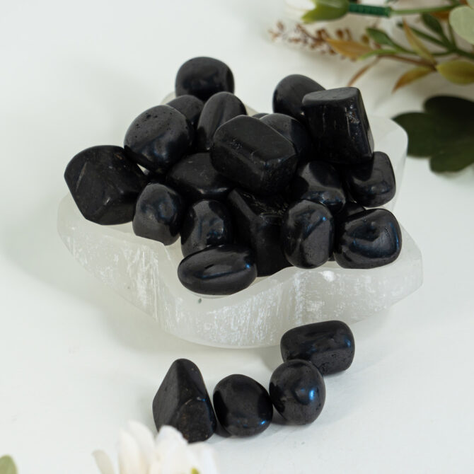 Shungite Tumble Stones