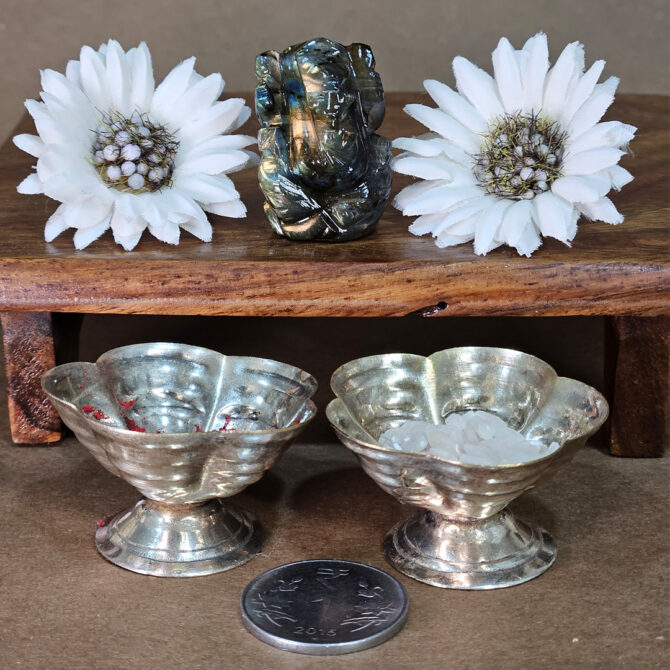 Mini Ganesha Idols / Murti - Wisdom and Prosperity