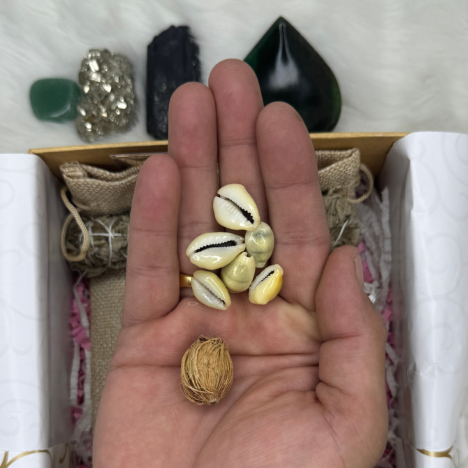 Diwali Prosperity Kit